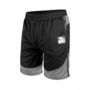 ШОРТЫ BAD BOY FORCE BLACK/GREY фото